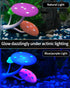 Uniclife Betta Mushroom Hammock - Soft Aquarium Rest Bed with Suction Cup, 2 Pack