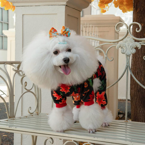 CuteBone Maple Leaf Soft Puppy Pajamas, Cute Dog Pjs Fall Jumpsuit, Large