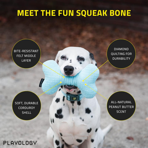 Playology Plush Squeaky Bone Dog Toy - Engaging All Natural Peanut Butter Scented Plush Dog Toy with Interactive Squeaker for Large Dogs (35lbs & Up) - Easy to Clean - Squeak, Chew, Fetch, and Play!