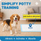 23" 23", 6-Layer 100 Count MoMoCo Puppy Pads x Super Absorbent Dog Pee Pads, Leak-Proof Dog Training Pads for Hardwood