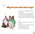3 Pack Dog Toys for Small Medium Large Dogs - No Stuffing Crinkle Plush Chew Toys for Aggressive Chewers (Octopus)