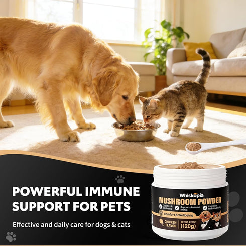 120 8 Immune, Mushroom Powder Supplements for Dogs and Cats Lump & Bumps Scoops Types of Mushrooms Blend Herbal