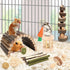 12 Chinchillas, YIXUND Hamster Cage Accessories, Different Chew Toys for Guinea Pig, Gerbils, Mice, Rats, Mouse