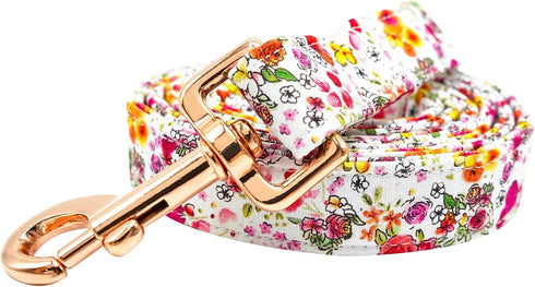 Elegant Little Tail Dog Leash, Summer Leashes with Soft Handle, Durable Training Leash for Small Medium Large Dogs