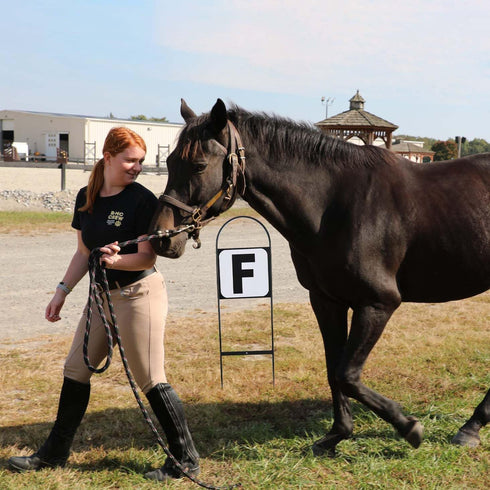 Dressage Letters Arena Markers,Metal Dressage Arena Letters Dressage Equipment for Equestrian Athletes and Events