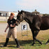 Dressage Letters Arena Markers,Metal Dressage Arena Letters Dressage Equipment for Equestrian Athletes and Events