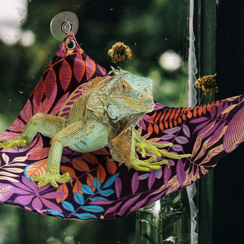 KUDES Bearded Dragon Hammock, Reptile Lizard Lounger Ladder Accessories, Terrarium Habitat Decor for Bearded Dragons,