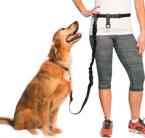The Buddy System Adjustable Hands-Free Dog Leash for Running and Training Service Dogs, USA Made, Large Belt
