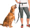 The Buddy System Adjustable Hands-Free Dog Leash for Running and Training Service Dogs, USA Made, Large Belt