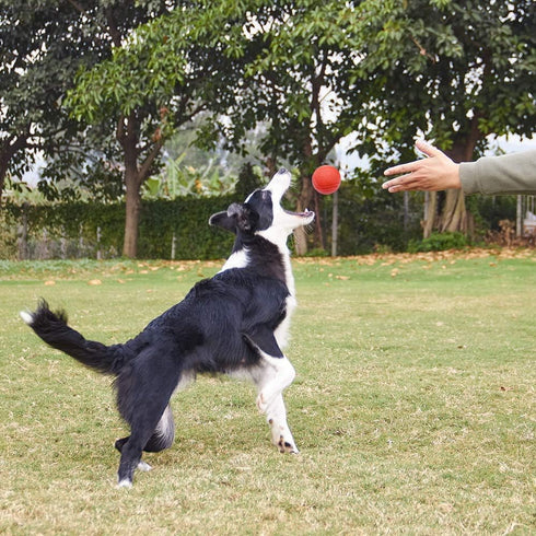 GaesQae Hard Rubber Balls for Dogs, Indestructible Bouncy Ball for Dog Training