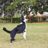 GaesQae Hard Rubber Balls for Dogs, Indestructible Bouncy Ball for Dog Training