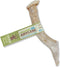 Prairie Dog Antlers | Whole North American Deer Antler | SMALL | Naturally Shed | Hand Harvested | 4-5.5 inches long