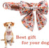 Unique Style Paws Dog Collar with Tie, Adjustable Pink Bowtie Collars for Small Medium Large Dogs and Cats-M