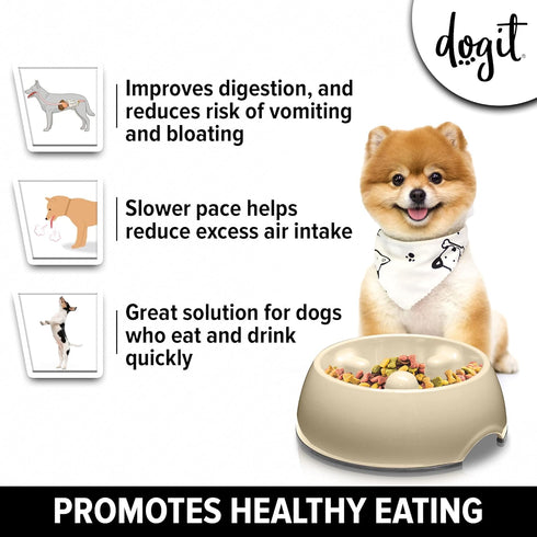 Dogit Dog Bowl Slow Feeder for Wet or Dry Dog Food, Go Slow Anti-Gulping Dog Dish, White, S