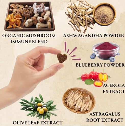 Immune Immunity, 90 Turkey Tail Mushroom for Dogs - Organic Support Chews - Buddy Health Guard Mushroom Blend - Boosts