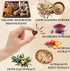 Immune Immunity, 90 Turkey Tail Mushroom for Dogs - Organic Support Chews - Buddy Health Guard Mushroom Blend - Boosts