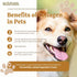 Fieldcrest Farms Nothin to Hide Flip Chips Dog Chews - All Natural Rawhide Alternative, Chicken, Beef or Peanut Butter