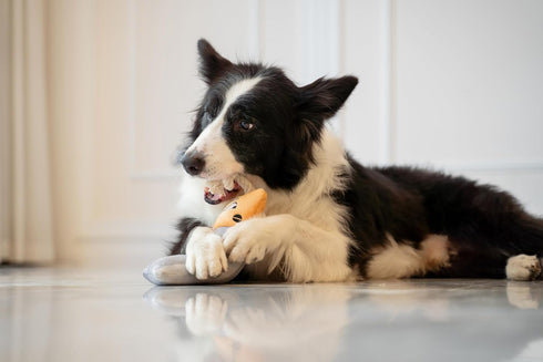 12", Squeaky Dog Plush Toy, Tools Bite_Stick Collection, for Various Sized Dogs (Hand Saw, Large)