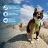 Voyager Step-in Lock Adjustable Cat Harness with Leash Combo Set, Neoprene Handle 5ft - Supports Small, Medium, Large