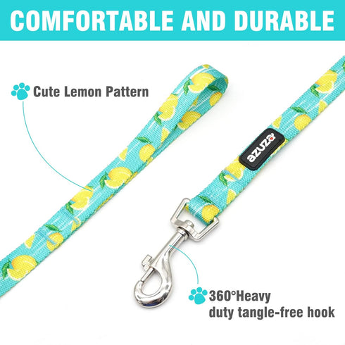 azuza Dog Collar and Leash Set, Blue Nylon with Lemon Patterns, Matching Leash for Extra Small Dogs