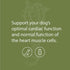 Canine Cardiac Support - Heart Supplement for Dogs - 25 Grams, Standard Process