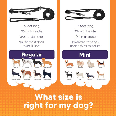 Sidekick Dog Headcollar with Leash - Effective Training Tool for Leash Reactivity (Black, Mini (1/4"))
