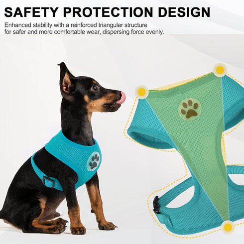 BINGPET No Pull Dog Harness, All Weather Mesh Step-in Vest for Small Dogs, Breathable Mesh Puppy & Cat Harness
