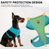 BINGPET No Pull Dog Harness, All Weather Mesh Step-in Vest for Small Dogs, Breathable Mesh Puppy & Cat Harness