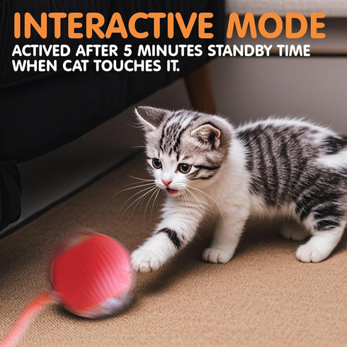 Rocfish Durable Interactive Cat Toys for Indoor Cats, Smart Automatic Cat Chase Ball Toy, Upgraded Speedy Tail Kitten