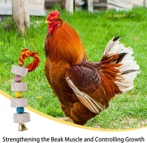 YOULJINTFA 2 Pcs Large Chicken Chewing Toy with Bell Chicken Coop Accessories Chick Beak Grinding Calcium Stone