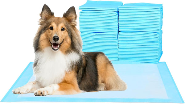 Super Absorbent Waterproof Dog Training Pad - Housebreaking Pet Pad (Blue, 23.6"x35.4", 20PCS)