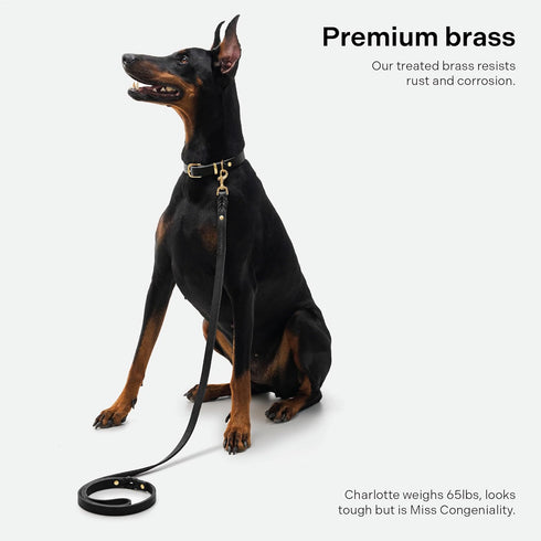 Scout Supply Classic Leather Dog Leash, Strong Heavy Duty Thick Full Grain Leather, Waterproof Brass Hardware