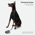Scout Supply Classic Leather Dog Leash, Strong Heavy Duty Thick Full Grain Leather, Waterproof Brass Hardware