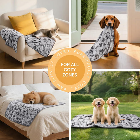 1 Pack 6 Medium(30"x20") Luciphia Dog Blankets Cat Soft Fluffy Fleece Pet Blanket Warm Cute Print Design Puppy Kitten
