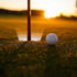 Windy City Novelties LED Light Up Night Golf Putting Cup