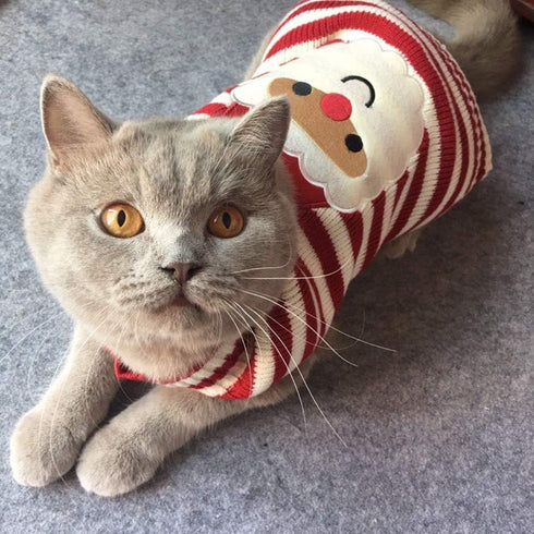 Cat Sweater Christmas Santa Claus Winter Knitwear for Pet Cat, Warm Clothes X-Small