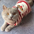 Cat Sweater Christmas Santa Claus Winter Knitwear for Pet Cat, Warm Clothes X-Small