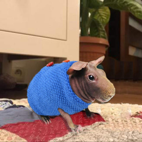 Skinny Pig Sweater Clothes for Hairless Guinea Pig, Protects Skin and Keeps It Warm