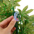 2 Pack Reptile Silk Plants with Suction Cups - Realistic Climbing Vines & Grass Leaves for Terrarium Decor