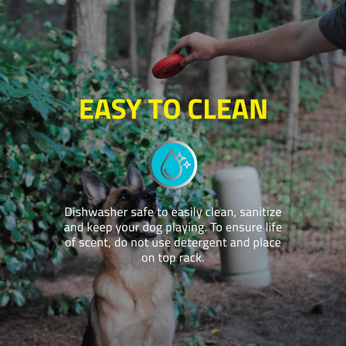 Playology Dual Layer Ring Toy for Medium Dogs (15 to 35lbs) - All-Natural Beef Scented Durable Chew