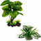 Reptile Artificial Plants, Terrarium Decorations for Aquarium Fish Tank, Amphibian Habitat Accessories, 2pcs