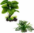 Reptile Artificial Plants, Terrarium Decorations for Aquarium Fish Tank, Amphibian Habitat Accessories, 2pcs