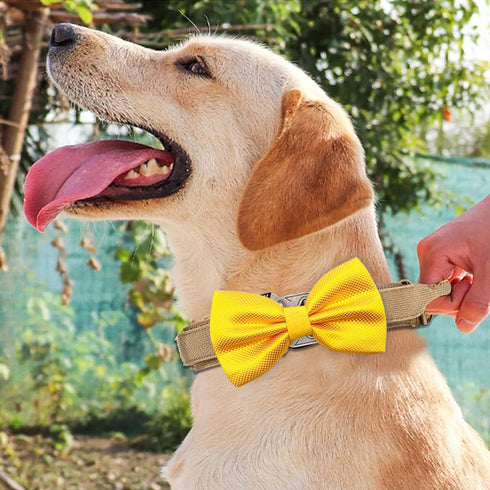 PET SHOW Large Dogs Collar Attachment Bow Ties, Embellishment for Medium Dogs, Cats, Birthday Wedding Parties