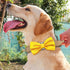 PET SHOW Large Dogs Collar Attachment Bow Ties, Embellishment for Medium Dogs, Cats, Birthday Wedding Parties