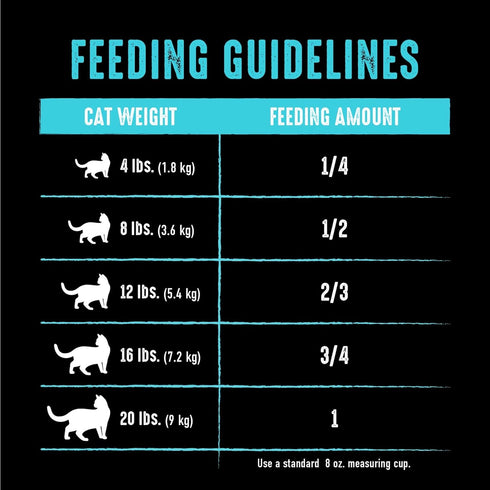 CRAVE Grain Free Adult High Protein Natural Dry Cat Food with Salmon & Ocean Fish, 10 lb Bag