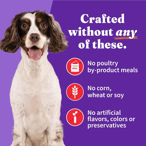 13.2 Oz (Pack 6) Halo Wet Dog Food Whole Beef Stew Recipe, Healthy Grains Real Meat Canned Dog Food, Meal or Topper