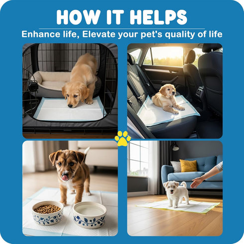 23" 23", 6-Layer 100 Count MoMoCo Puppy Pads x Super Absorbent Dog Pee Pads, Leak-Proof Dog Training Pads for Hardwood