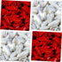zetpo Cat Claw Covers 80 pcs | Cat Nail Caps with Adhesives and Applicators (M, Red, White)