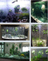 Hewnda Aquarium Decor with Suspended Rock - Floating Moss Rock Resin Stone for Fish Tank