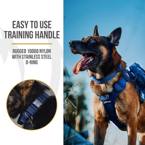 Tough Dog Collars, Tactical Adjustable Dog Collar with Handle, Heavy Duty Metal Buckle for Training, Medium, Blue
